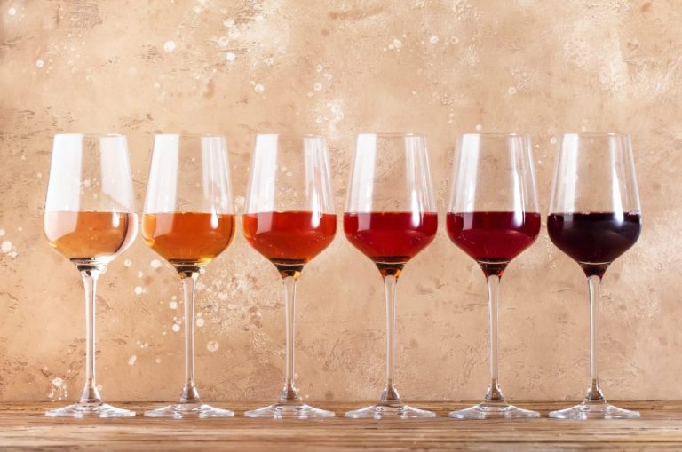 Vin rosé de Provence bio : une tendance en plein essor
